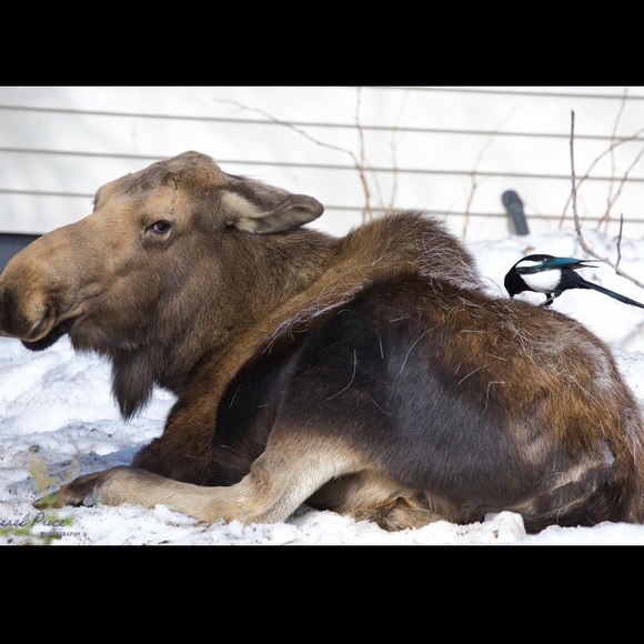 LIKE THIS TO SAVE ME! - Picture 10 of 16